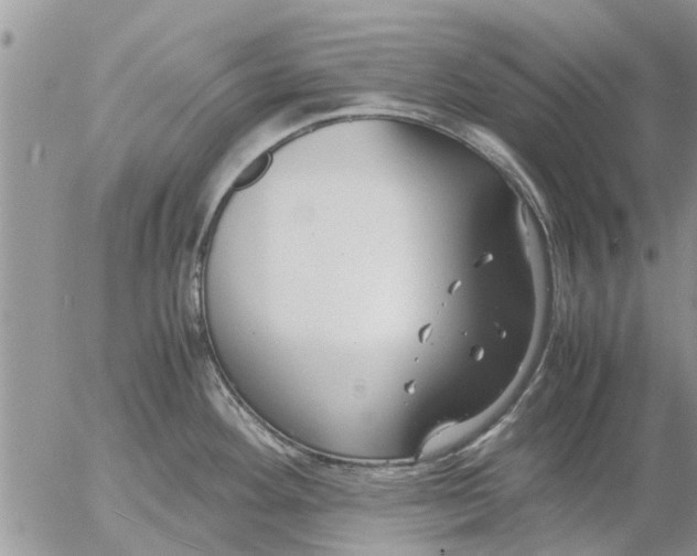 X0000053071292200508011930