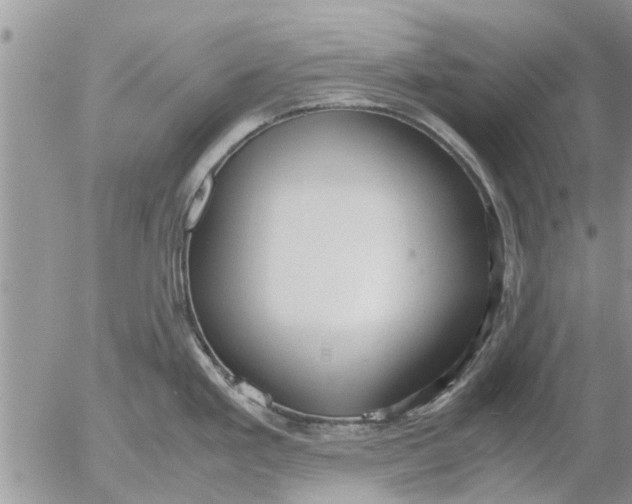 X0000053071293200508011930