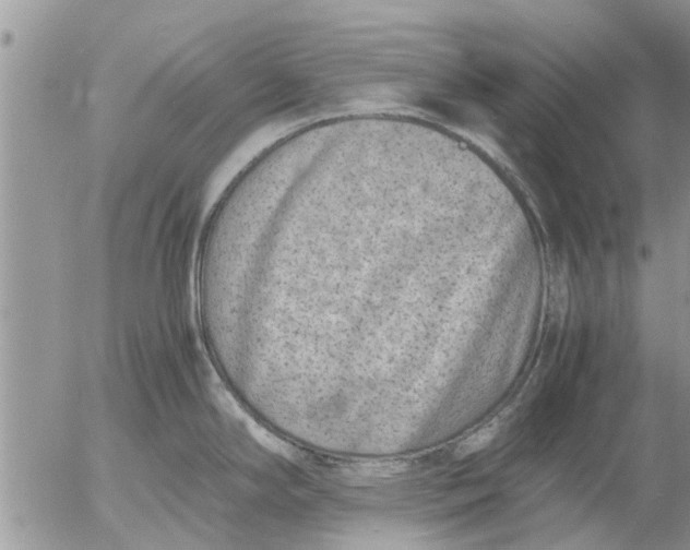 X0000053071294200508011930