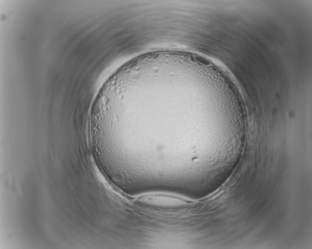 X0000053071295200508011930