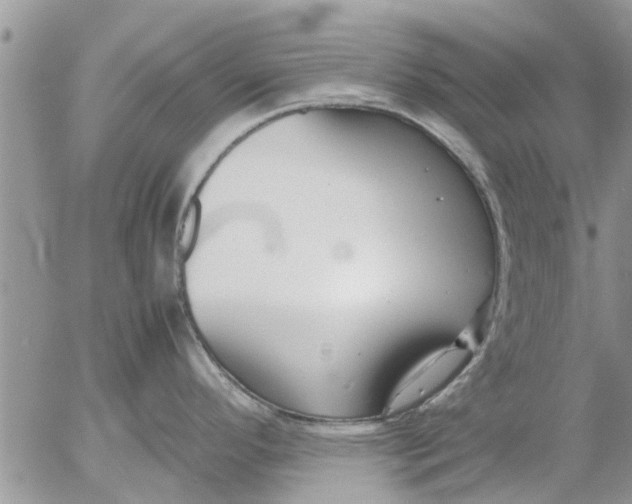 X0000053071296200508011930