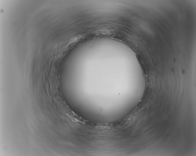 X0000053071297200508011929