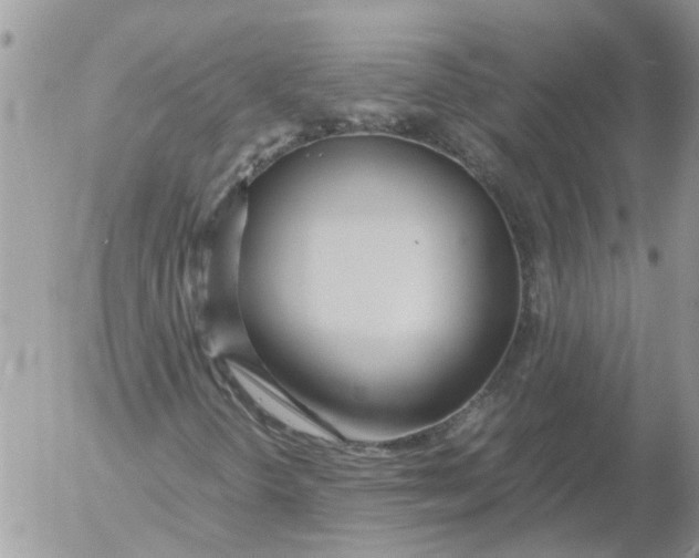 X0000053071298200508011929