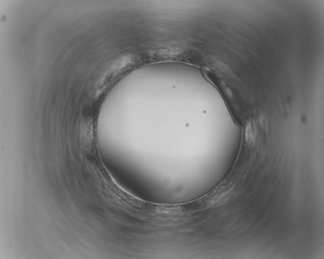 X0000053071299200508011929