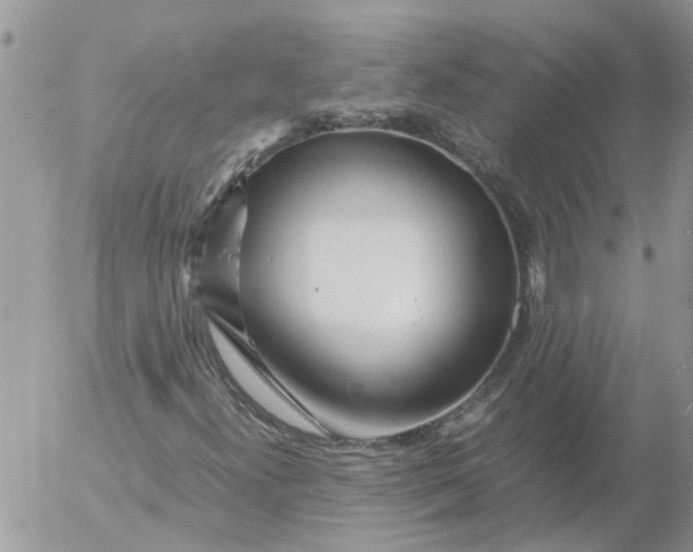 X0000053071300200508011929