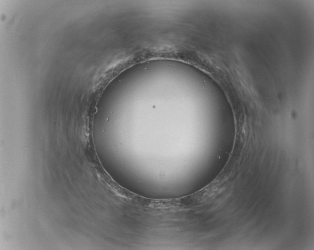 X0000053071301200508011929