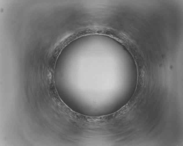 X0000053071302200508011929