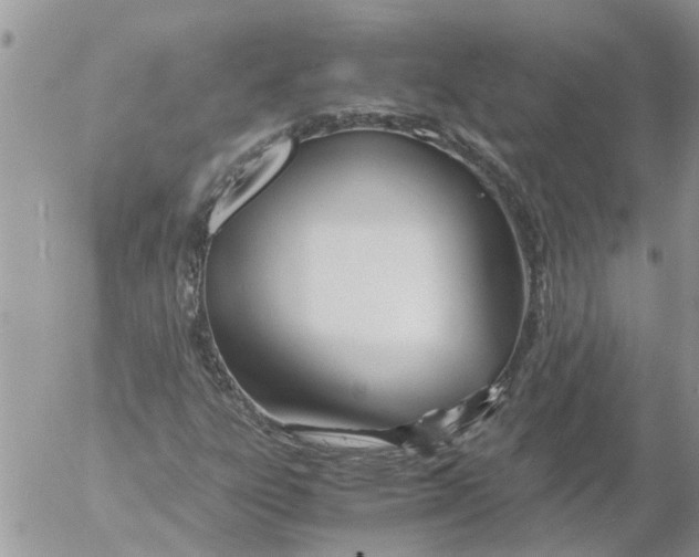 X0000053071303200508011929