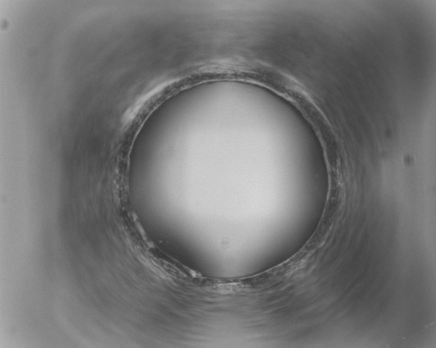 X0000053071304200508011929