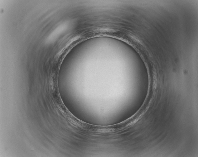 X0000053071305200508011929