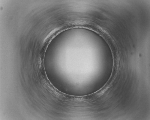 X0000053071306200508011929