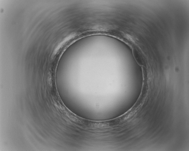 X0000053071307200508011929