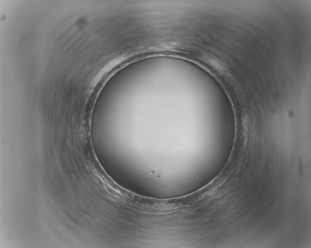 X0000053071308200508011929