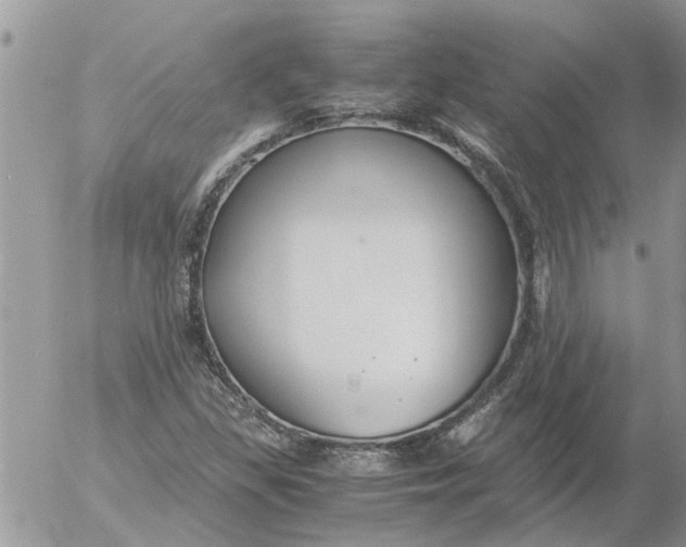 X0000053071309200508011930