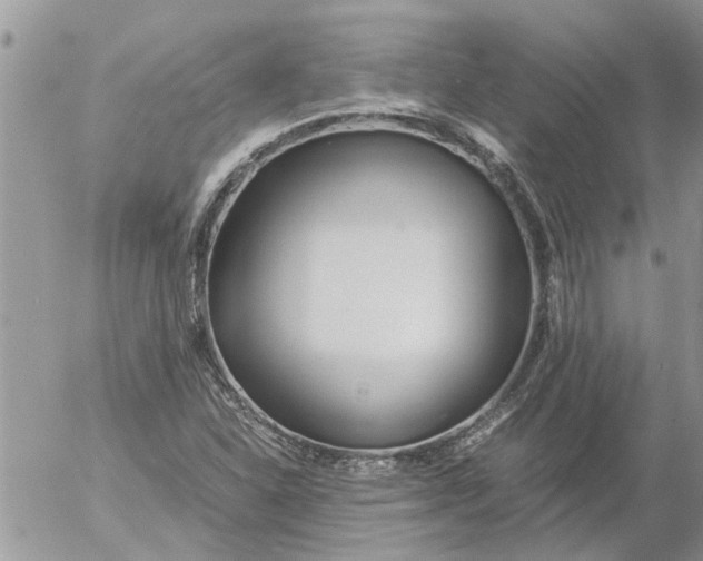 X0000053071310200508011930