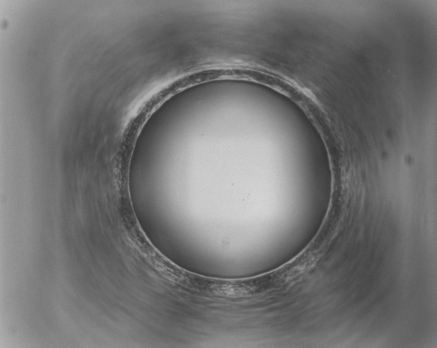 X0000053071311200508011930