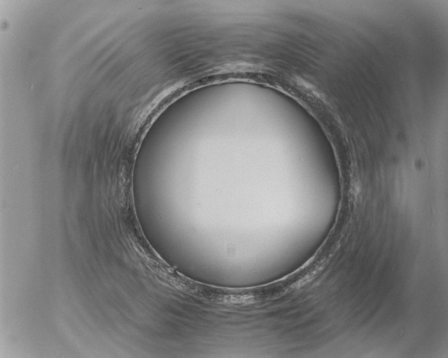 X0000053071313200508011930