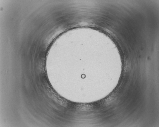 X0000053071314200508011930