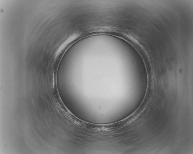 X0000053071317200508011930