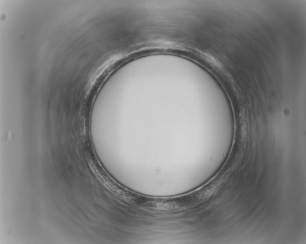 X0000053071318200508011930