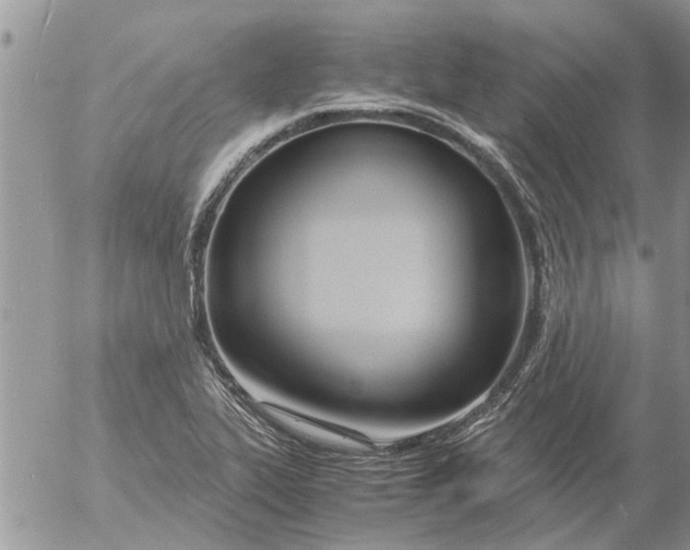 X0000053071319200508011930