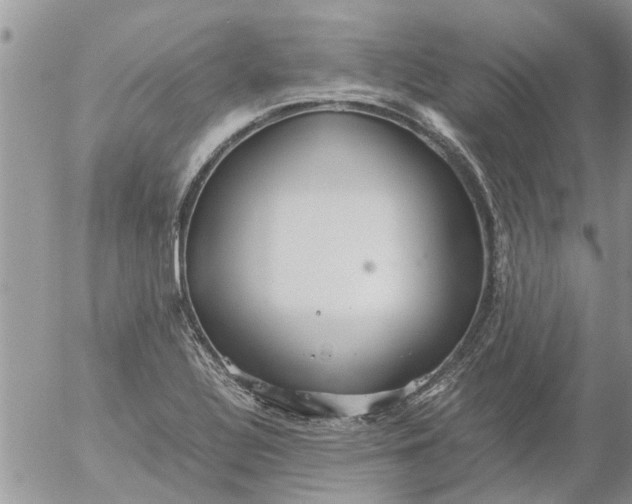 X0000053071320200508011930