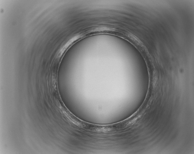 X0000053071321200508011930