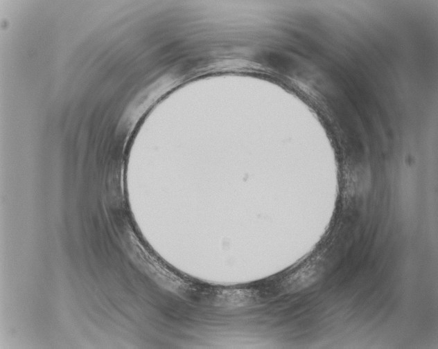 X0000053071322200508011930