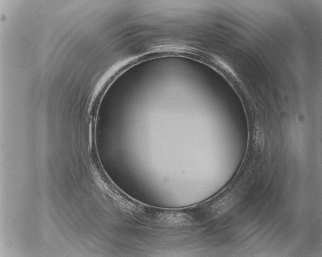 X0000053071323200508011930