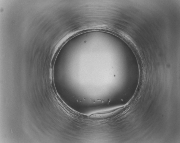 X0000053071324200508011930