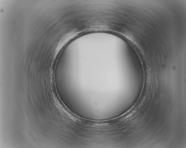 X0000053071325200508011930