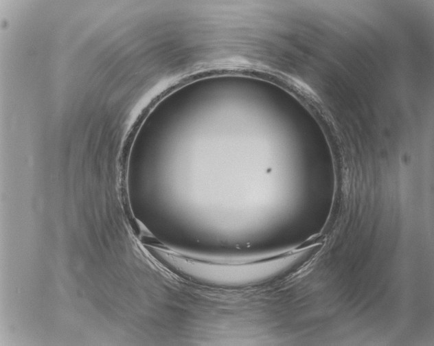 X0000053071326200508011930