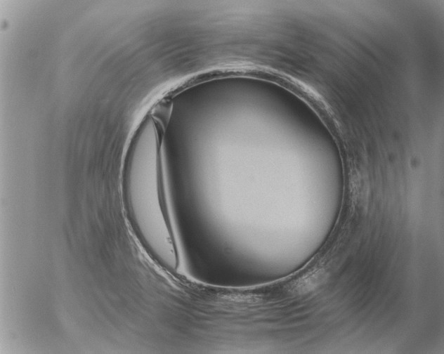 X0000053071327200508011930