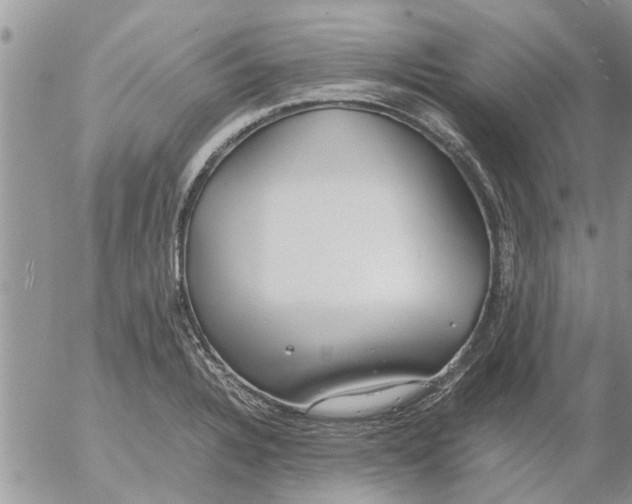 X0000053071328200508011930