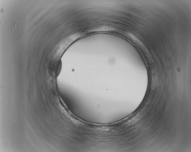 X0000053071329200508011930