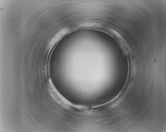 X0000053071330200508011930