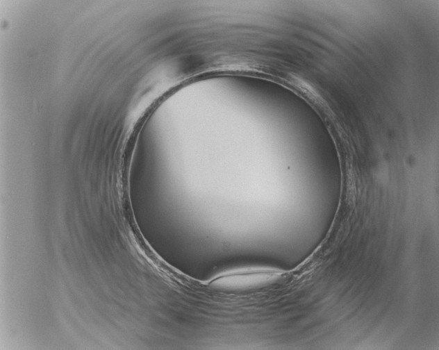 X0000053071331200508011930