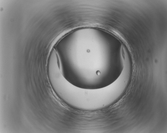 X0000053071332200508011930