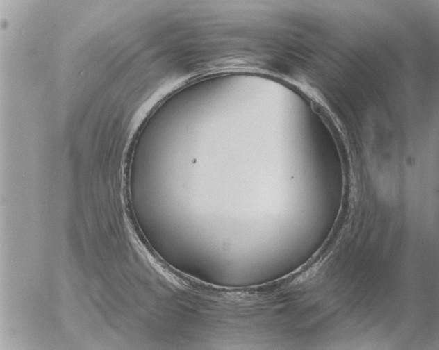 X0000053071333200508011930