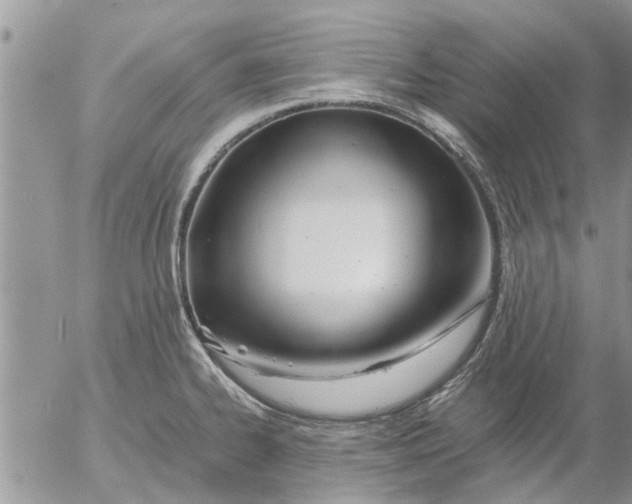 X0000053071334200508011930