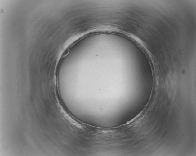 X0000053071335200508011930