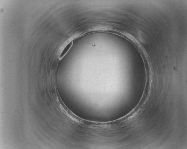 X0000053071337200508011930