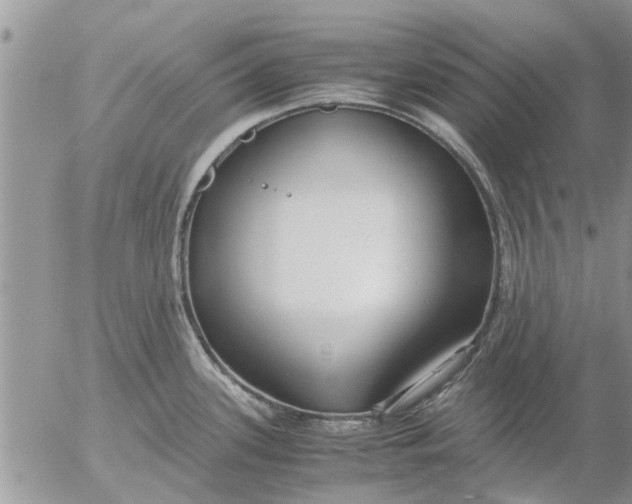 X0000053071339200508011930