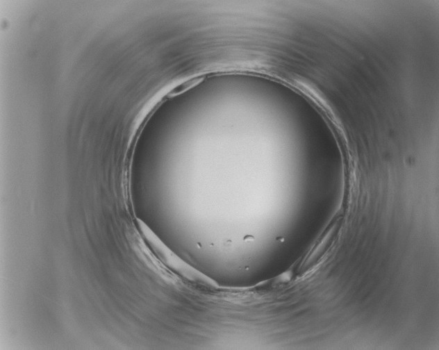 X0000053071340200508011930