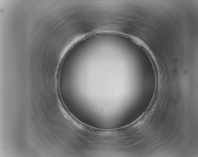 X0000053071341200508011930