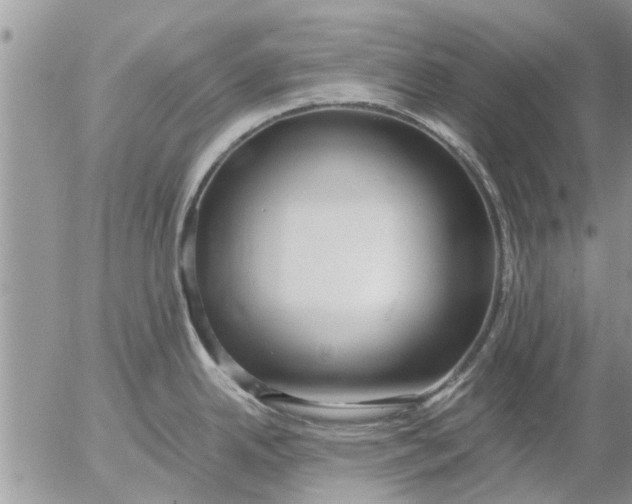 X0000053071342200508011930