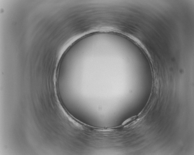 X0000053071343200508011930