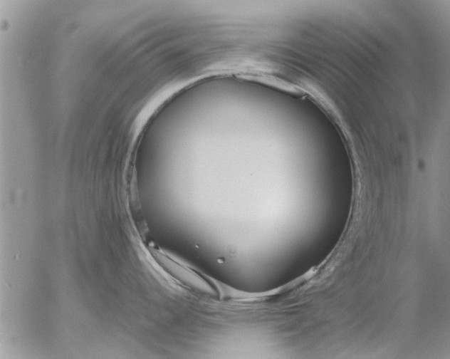 X0000053071344200508011930