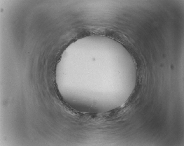 X0000053071345200508011929