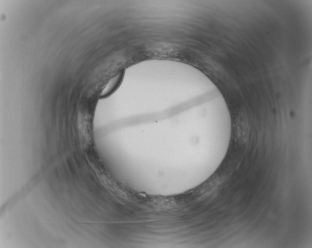 X0000053071346200508011929